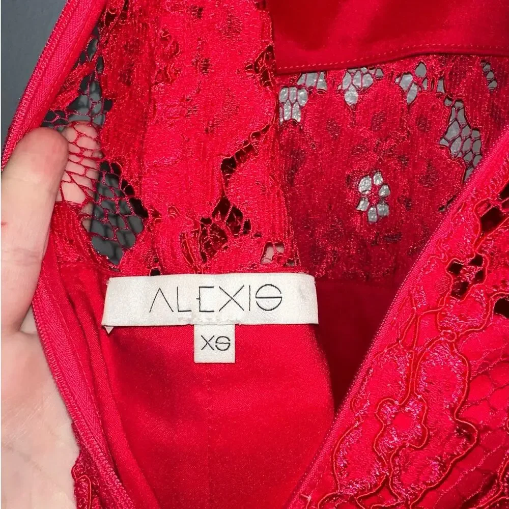 Alexis Red Lace Midi Dress - Picture 4 of 9